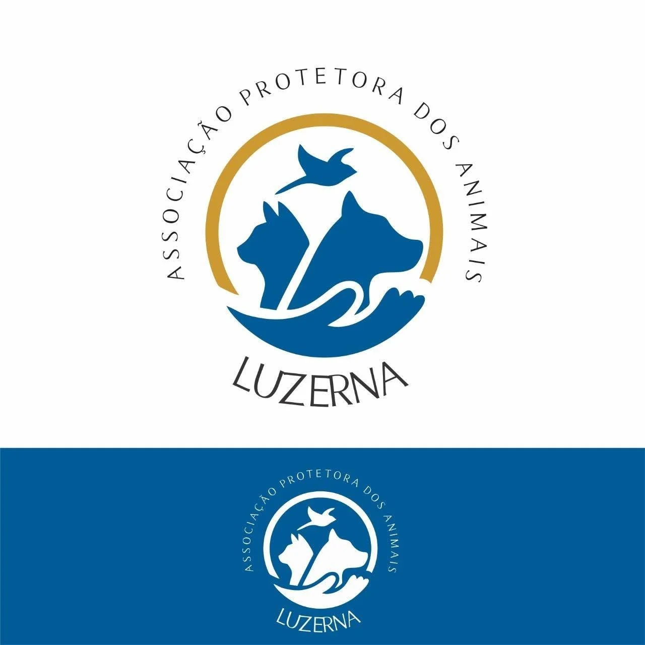 Ong De Animais de Luzerna orienta população sobre denúncias e responsabilidades