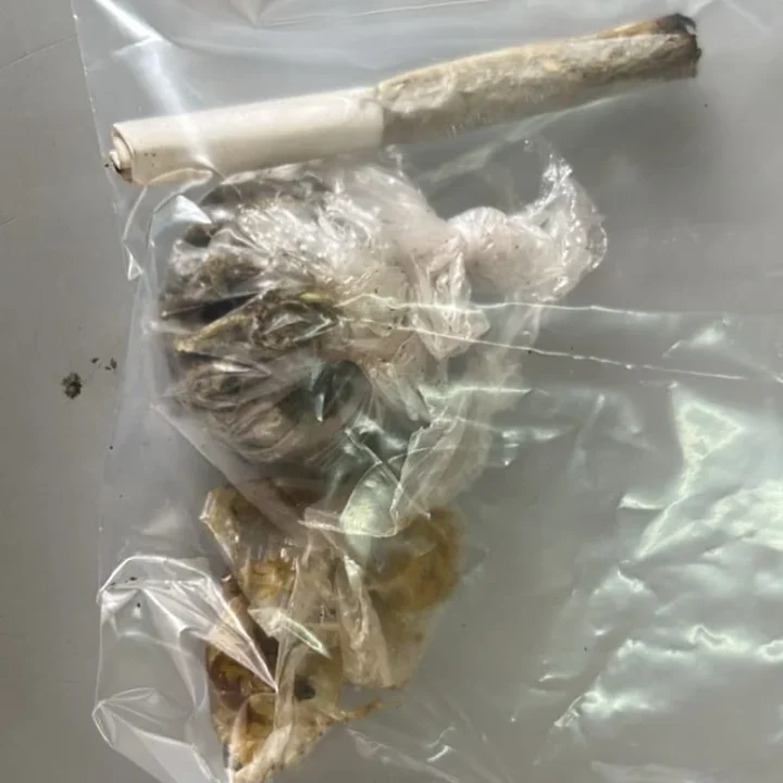 f67af6e2-3523-4c8f-a06d-175deb613006